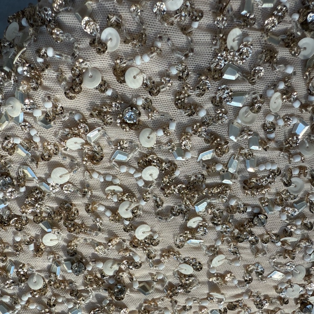 Alice And Olivia Matching Sequin Set In Champagne - image 4